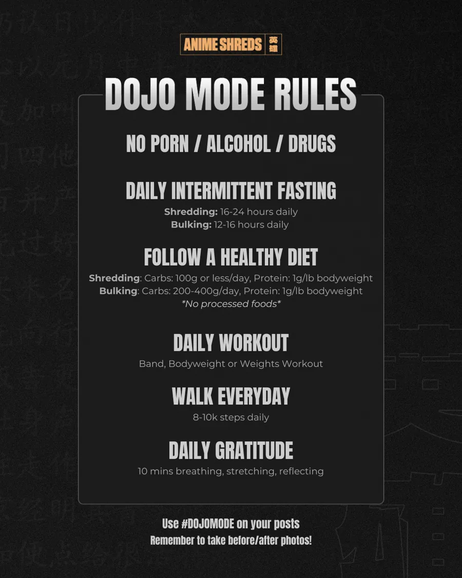 Dojo Mode Rules — Anime Shreds